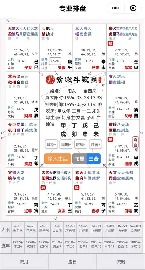 紫微格局查詢|紫微斗数在线排盘